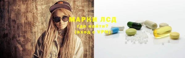 ПСИЛОЦИБИНОВЫЕ ГРИБЫ Абаза