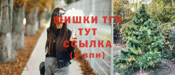 ПСИЛОЦИБИНОВЫЕ ГРИБЫ Абаза