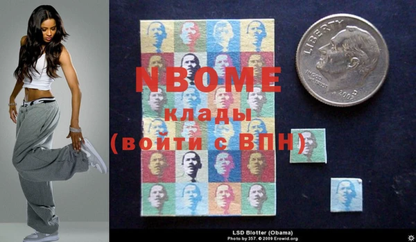 ПСИЛОЦИБИНОВЫЕ ГРИБЫ Абаза