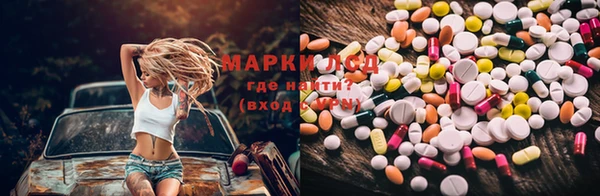 ПСИЛОЦИБИНОВЫЕ ГРИБЫ Абаза
