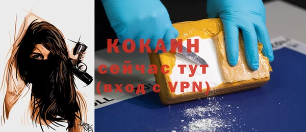 ПСИЛОЦИБИНОВЫЕ ГРИБЫ Абаза