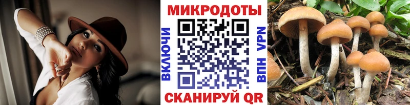 Псилоцибиновые грибы MAGIC MUSHROOMS  Подпорожье 